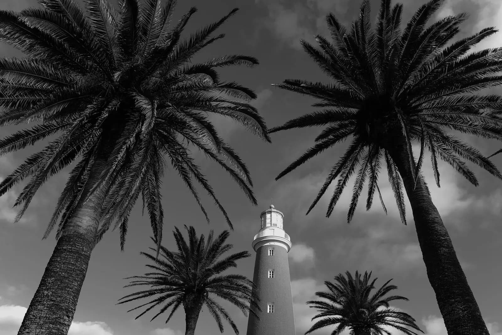 Palmeras y faro de Punta del Este